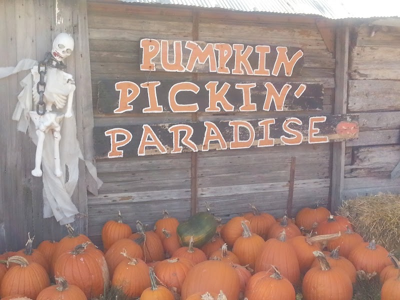 Pumpkin Pickin' Paradise