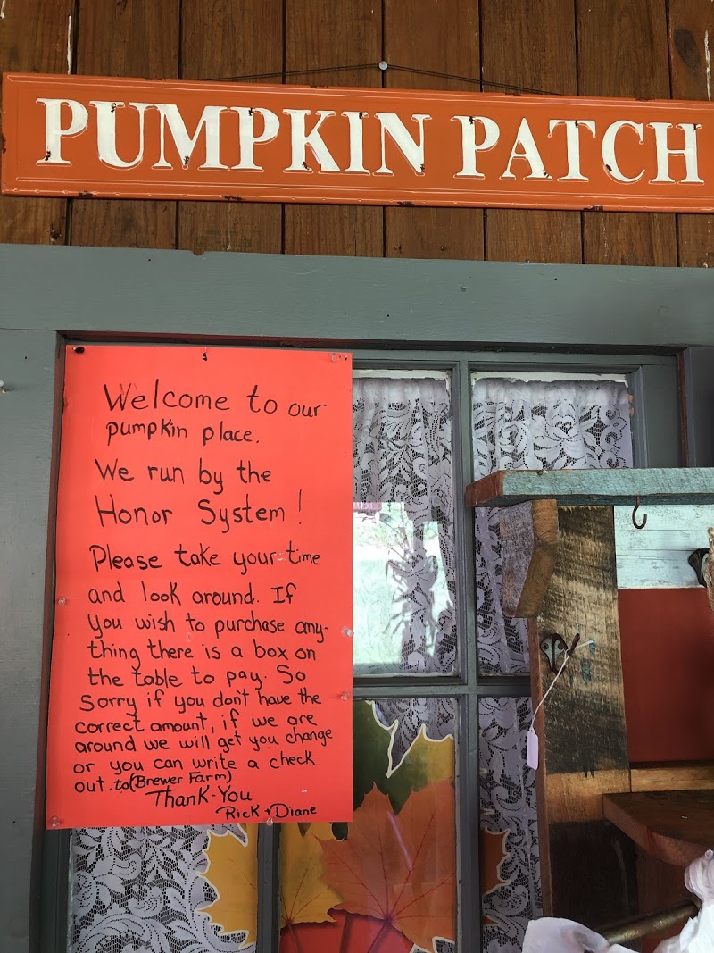 Brewer's pumpkin patch
