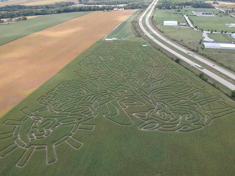 Farmer J's Corn Maze-World Record Corn Maze