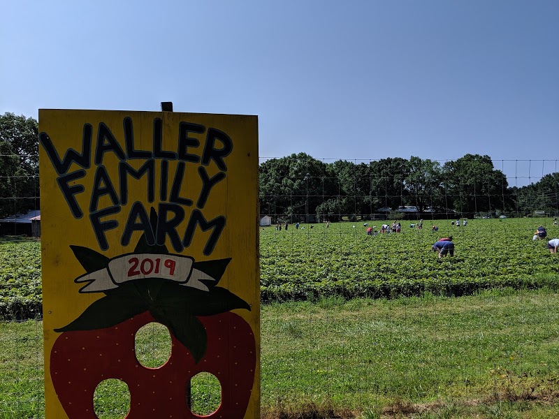 Waller Family Farm