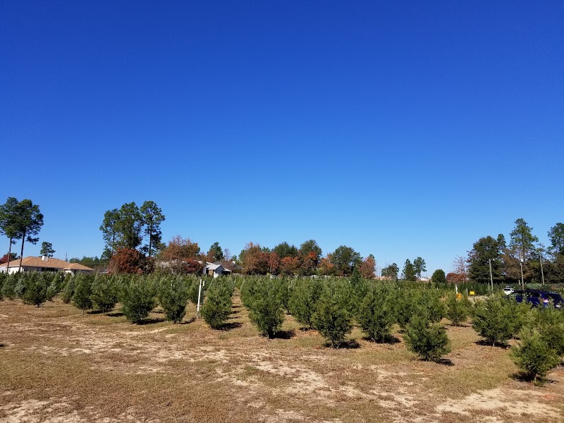 Gay's Christmas Tree Farm