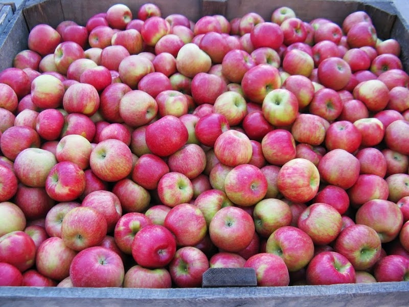 Moelker Orchards & Farm Market