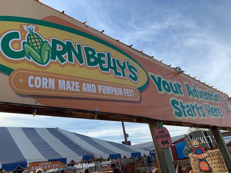 Cornbelly's Corn Maze & Pumpkin Fest