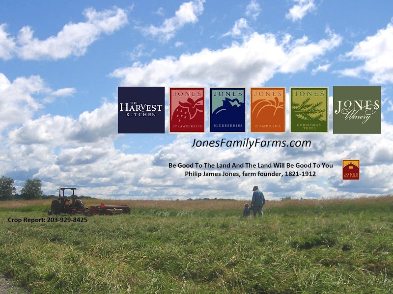 Jones Family Farms - Pumpkinseed Hill Farm