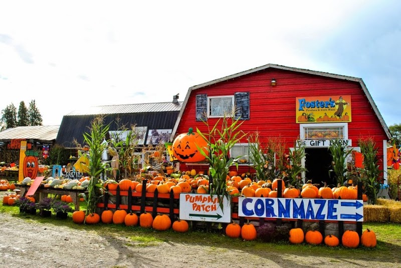 Foster's Produce, Corn Maze and Pumpkin Patch